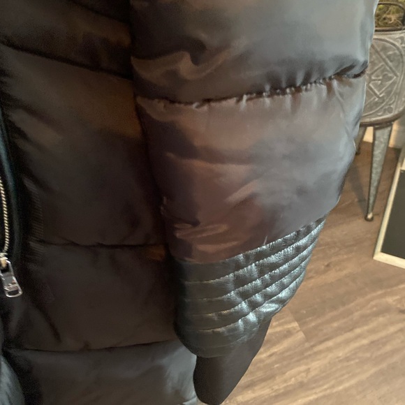 Black Butterfly - Picture 3 of 3